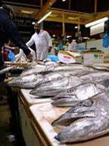 billingsgate fish market