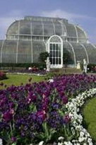 королевские ботанические сады в кеве (the royal botanic gardens in kew)